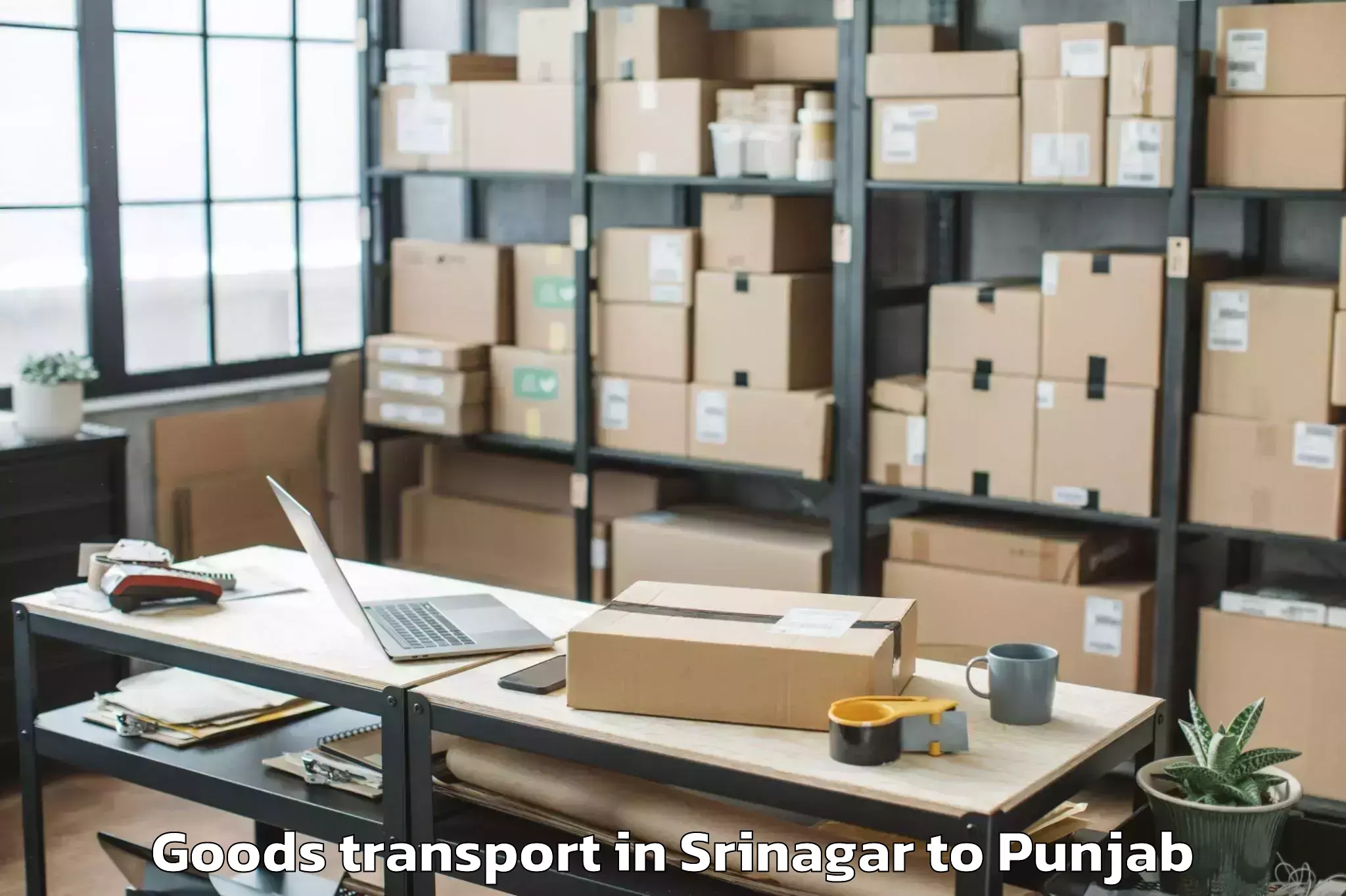 Expert Srinagar to Central University Of Punjab B Goods Transport